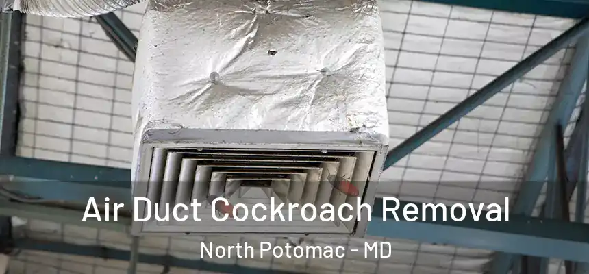 Air Duct Cockroach Removal North Potomac - MD