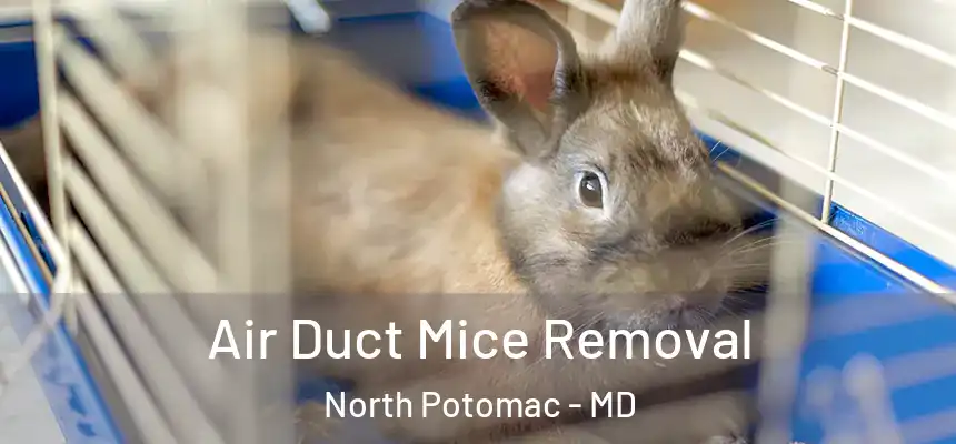 Air Duct Mice Removal North Potomac - MD