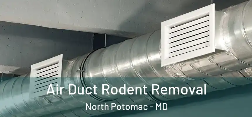 Air Duct Rodent Removal North Potomac - MD