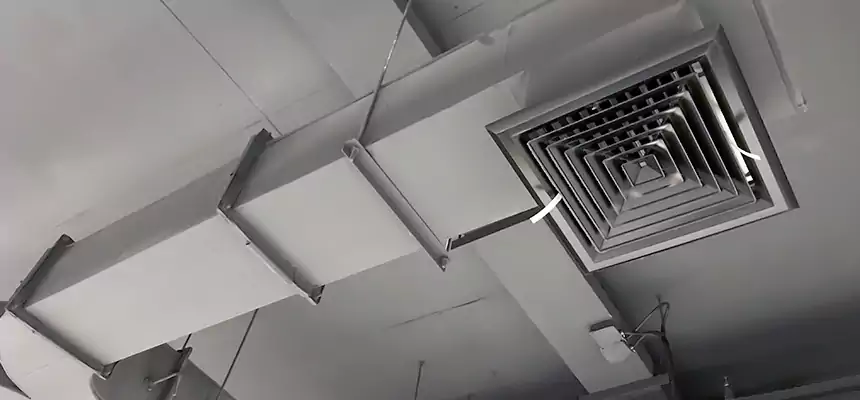 Restorative Allergy Relief Vent Cleaning – Coil, Blower & Housing Detail in North Potomac