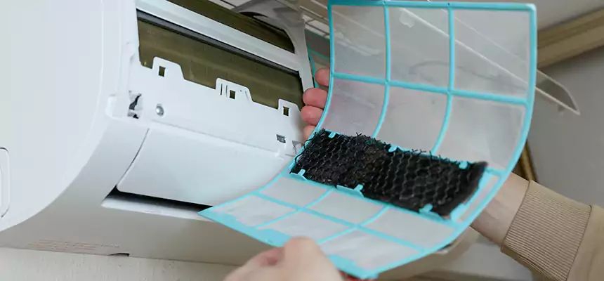 Gentle Ductwork Odor-Control Pet Dander Duct Cleaning in North Potomac, MD