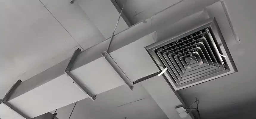 Our Rodent Droppings In Vents Services in North Potomac, MD