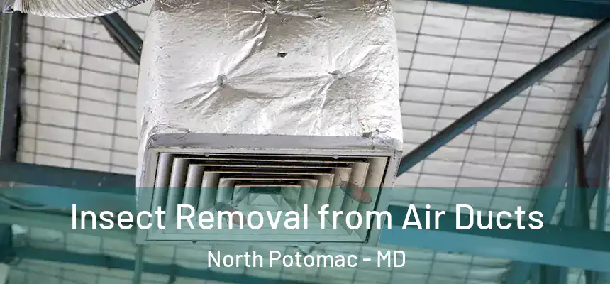  Insect Removal from Air Ducts North Potomac - MD