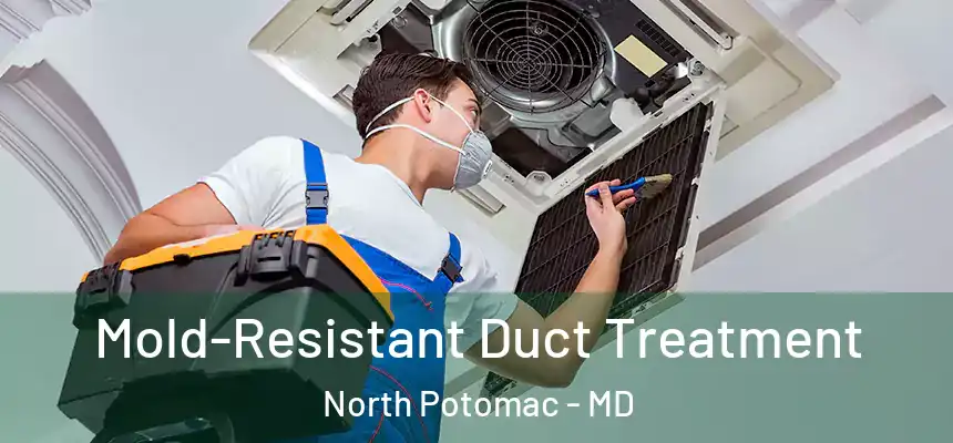 Mold-Resistant Duct Treatment North Potomac - MD