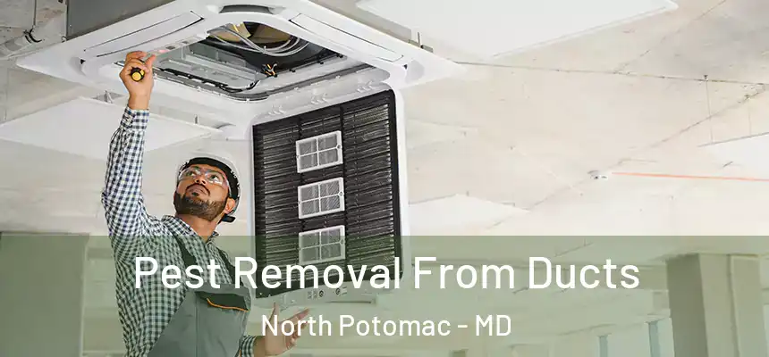  Pest Removal From Ducts North Potomac - MD