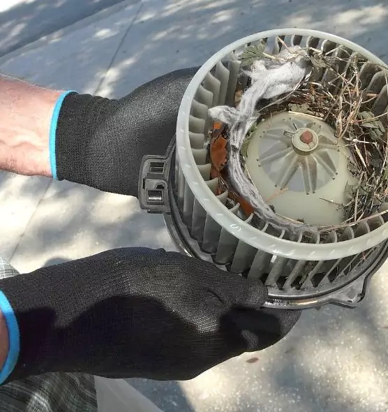 About Air Duct Rat Removal in North Potomac, MD