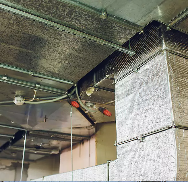 Why Homeowners & Businesses Trust Us in North Potomac, MD?