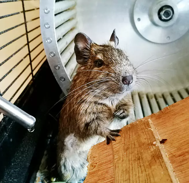 Why Homeowners & Businesses Trust Us North Potomac, MD?