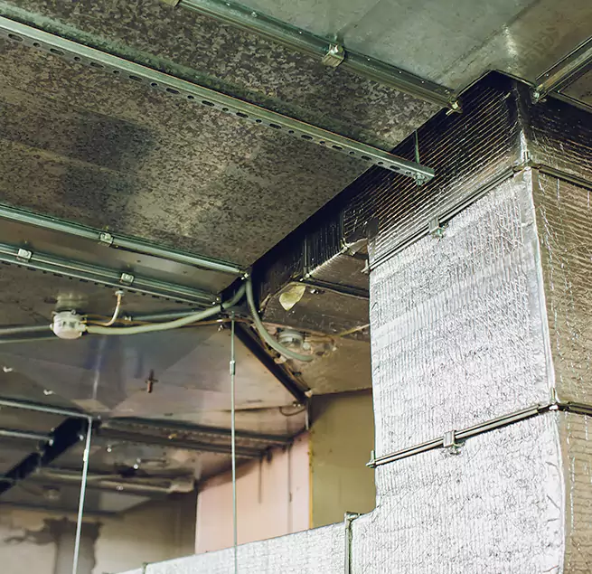 Why Homeowners & Businesses Trust Us in North Potomac, MD?